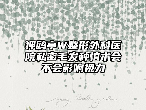 狎鸥亭W整形外科医院私密毛发种植术会不会影响视力