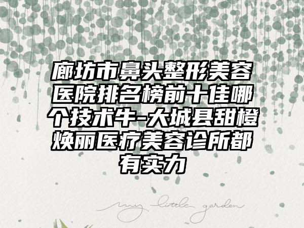 廊坊市鼻头整形美容医院排名榜前十佳哪个技术牛-大城县甜橙焕丽医疗美容诊所都有实力