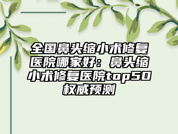 全国鼻头缩小术修复医院哪家好：鼻头缩小术修复医院top50权威预测