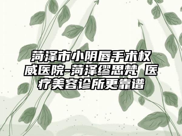 菏泽市小阴唇手术权威医院-菏泽缪思梵晞医疗美容诊所更靠谱