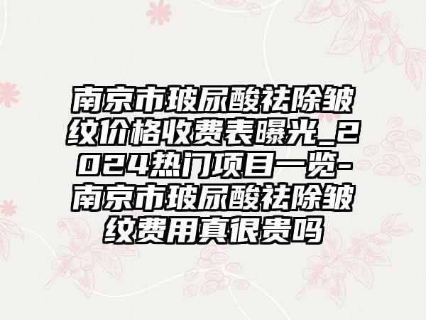 南京市玻尿酸祛除皱纹价格收费表曝光_2024热门项目一览-南京市玻尿酸祛除皱纹费用真很贵吗