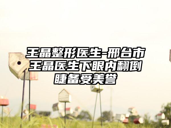 王晶整形医生-邢台市王晶医生下眼内翻倒睫备受美誉