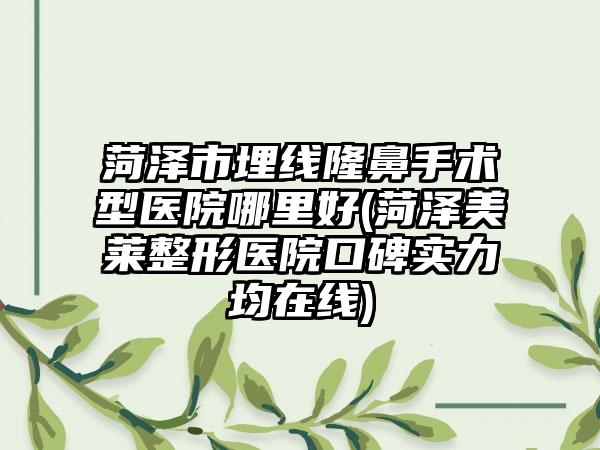 菏泽市埋线隆鼻手术型医院哪里好(菏泽美莱整形医院口碑实力均在线)
