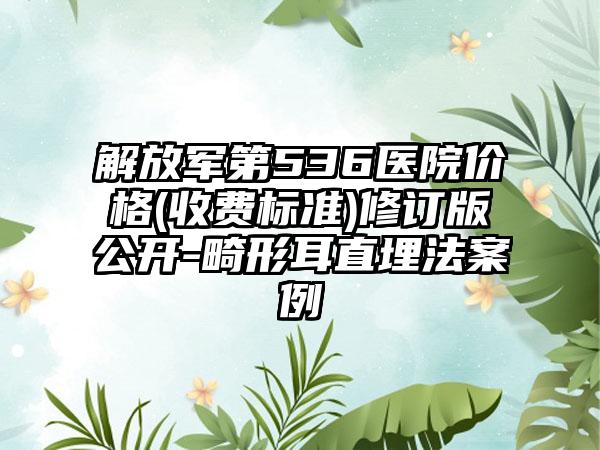 解放军第536医院价格(收费标准)修订版公开-畸形耳直埋法案例