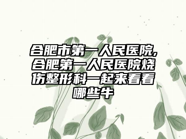 合肥市第一人民医院,合肥第一人民医院烧伤整形科一起来看看哪些牛