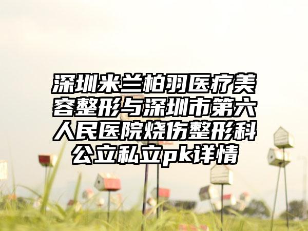 深圳米兰柏羽医疗美容整形与深圳市第六人民医院烧伤整形科公立私立pk详情