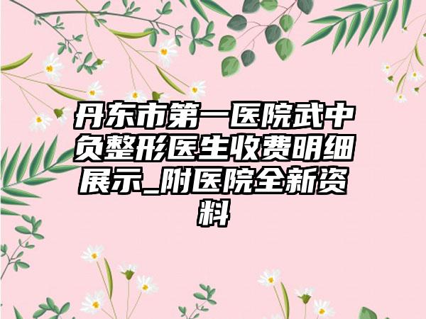 丹东市第一医院武中负整形医生收费明细展示_附医院全新资料