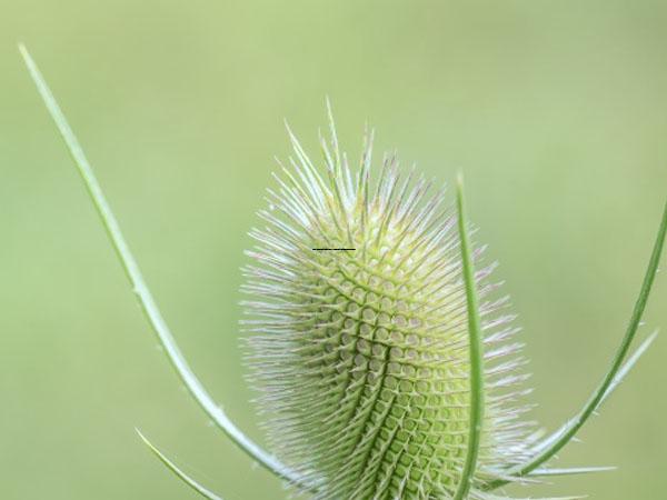 打头阵成华区可摘全口义齿医院排名榜(成华区可摘全口义齿口腔医院值得信赖的选择)