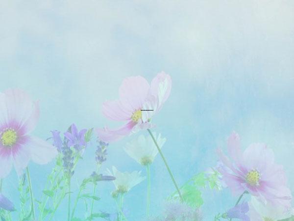 山西省李晓晓医生,武小红医生拆线双眼皮你比较喜欢哪一个