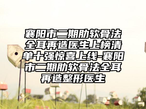 襄阳市二期肋软骨法全耳再造医生上榜清单十强惊喜上线-襄阳市二期肋软骨法全耳再造整形医生