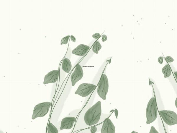 东营市腋臭去疤医生上榜清单前十位严选-刘雪翠医生规模资质人气口碑数一数二