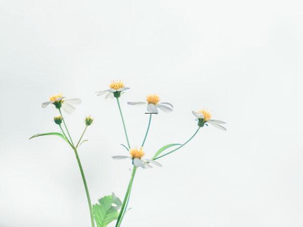 上海市李智方医生,刘东医生做综合隆鼻哪个技术更上一楼