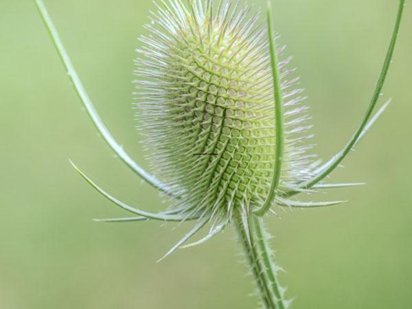 2026年越秀区矫正牙齿拔4个牙医院排行榜-越秀区矫正牙齿拔4个牙口腔医院